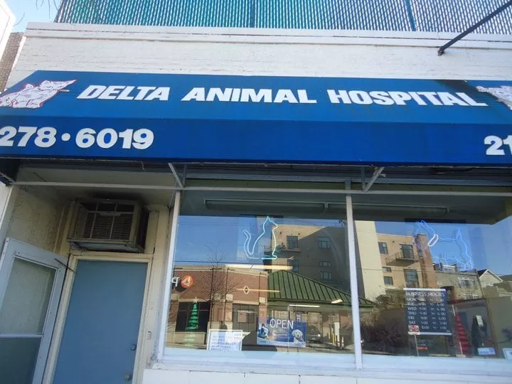 Delta Animal Hospital, Illinois, Chicago
